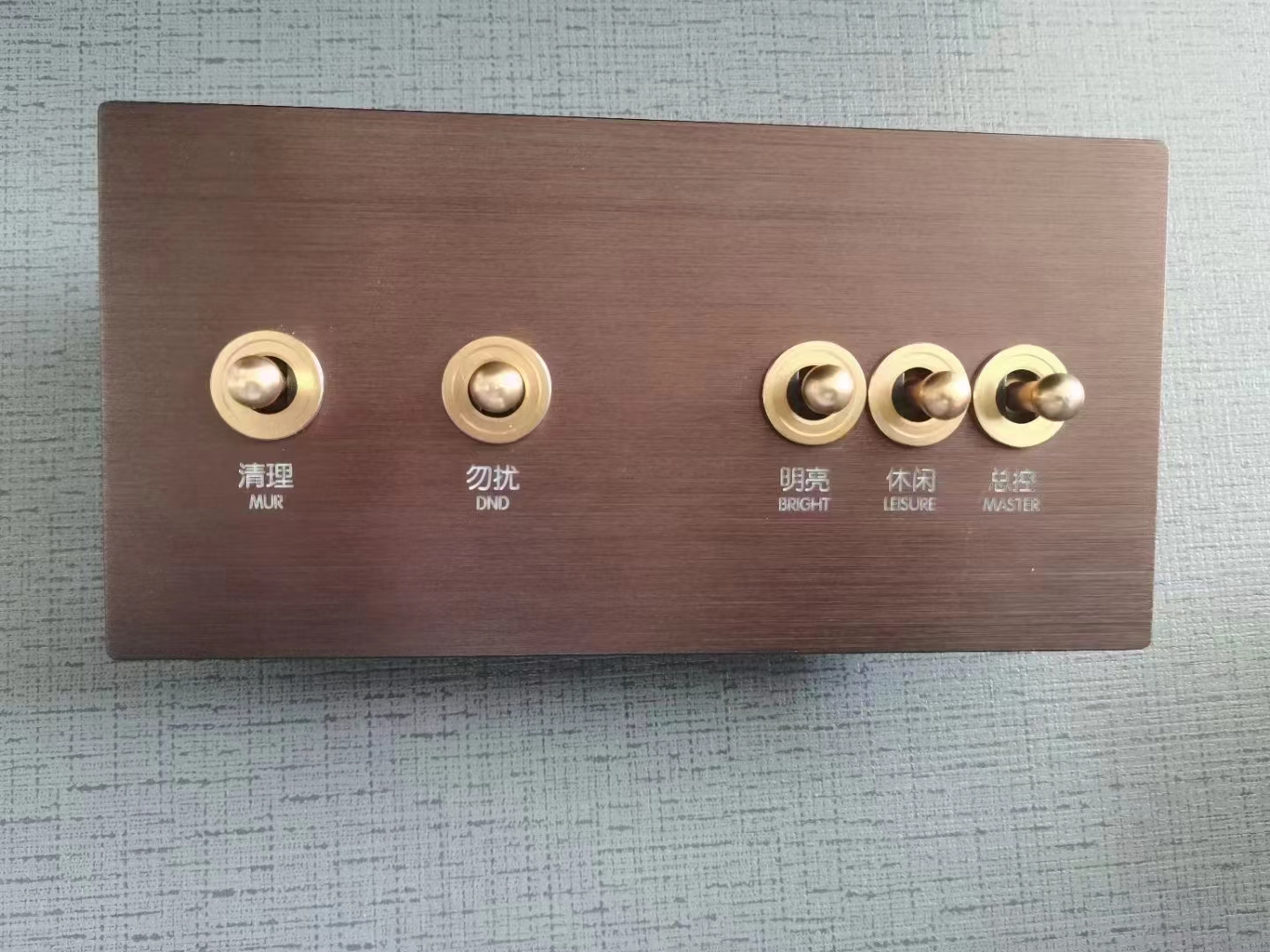 酒店客控系统拨杆开关（金色）